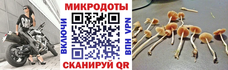 Псилоцибиновые грибы ЛСД Афипский